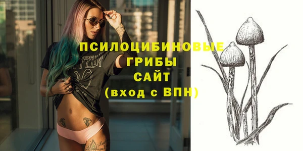 герыч Белая Холуница