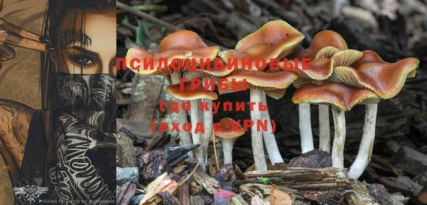 герыч Белая Холуница