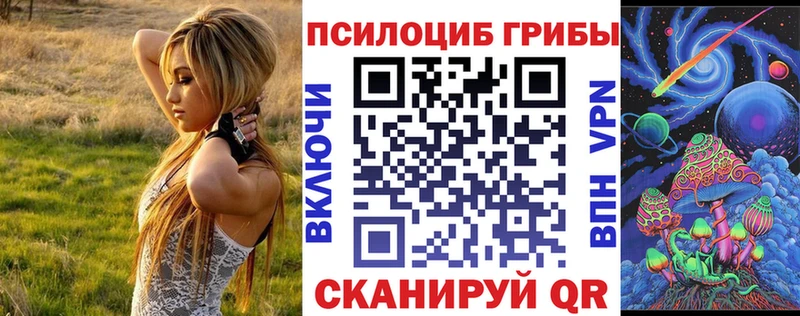Галлюциногенные грибы Cubensis  хочу наркоту  Выборг 