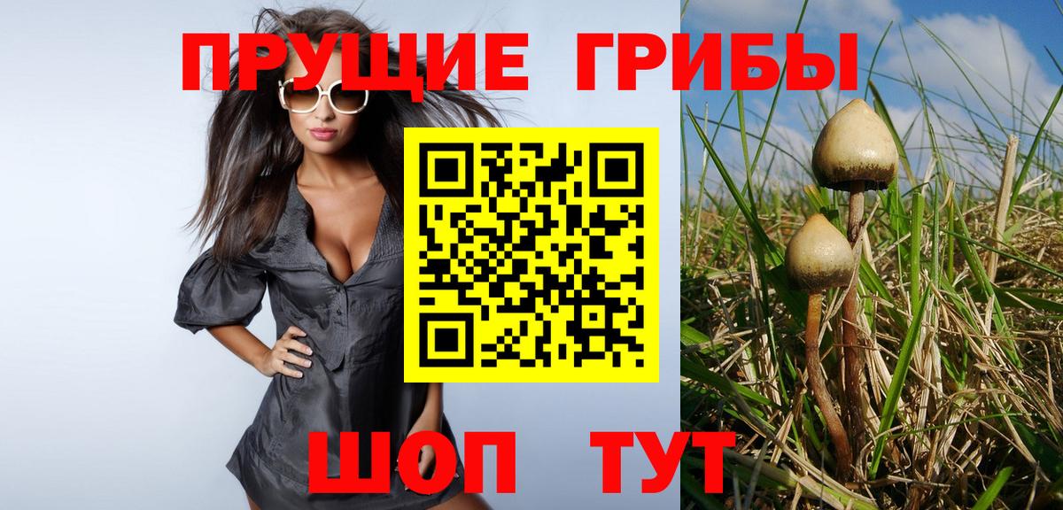 Псилоцибиновые грибы ЛСД  Псилоцибиновые грибы Cubensis  Выборг  Вход с VPN 