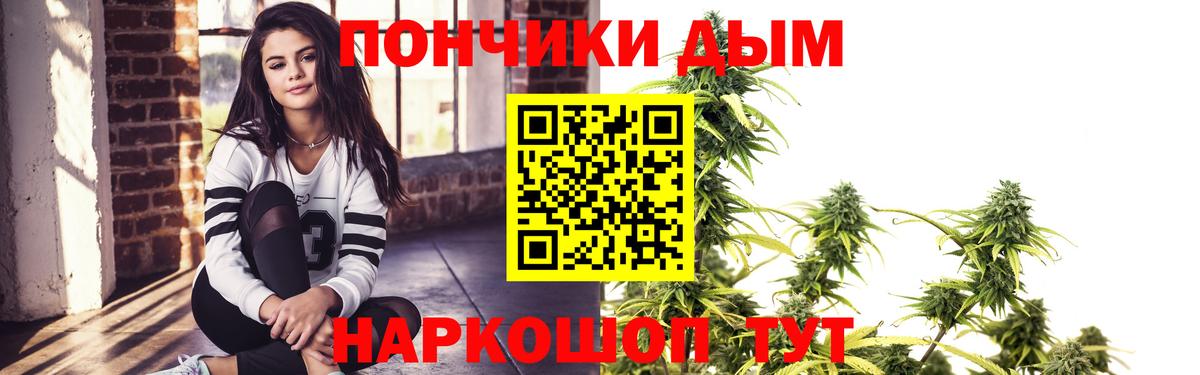 Канабис план  МАРИХУАНА семена  МАРИХУАНА LSD WEED  Выборг  Канабис OG Kush 